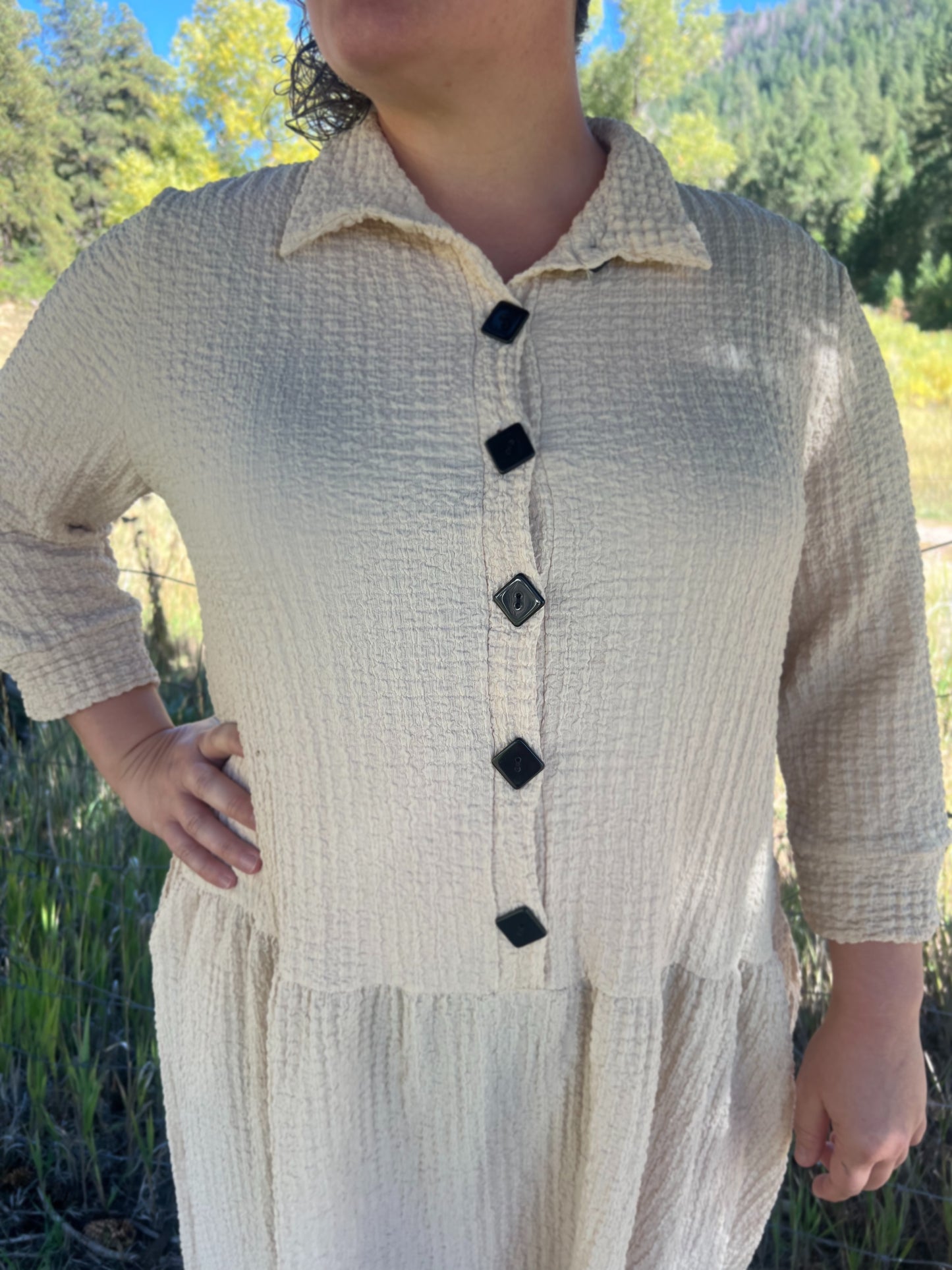 Our Willow textured Button detail dress -Plus Size